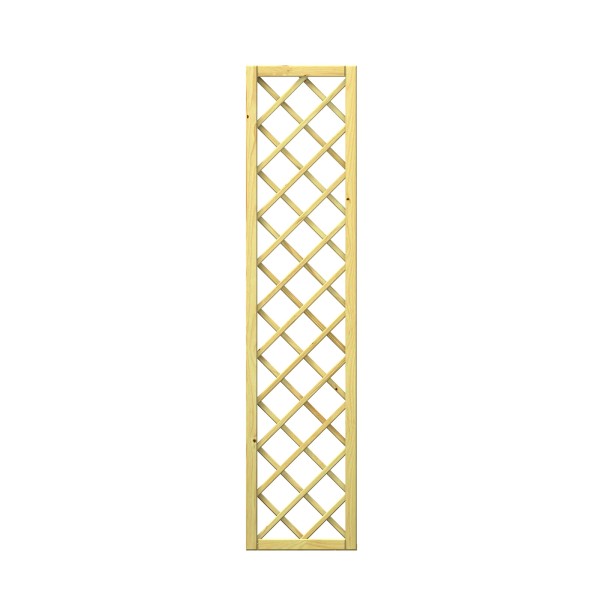 CLEMATIS Diagonalgitter 41 x 178 cm