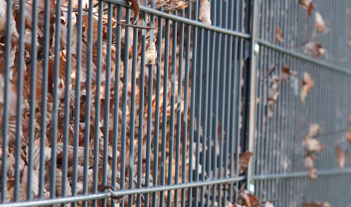 Qualitative Zaune Und Zaunzubehor Online Kaufen Gartenzaun24 Tore Zaunsysteme